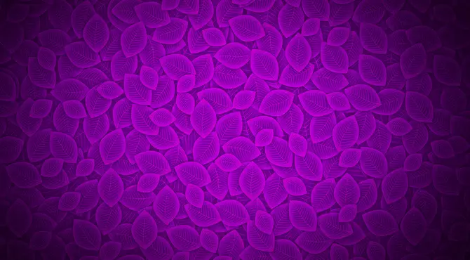 Jester Temptation 100