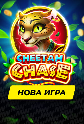 New Game Cheetah Chase